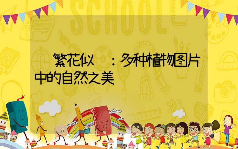  繁花似锦：多种植物图片中的自然之美